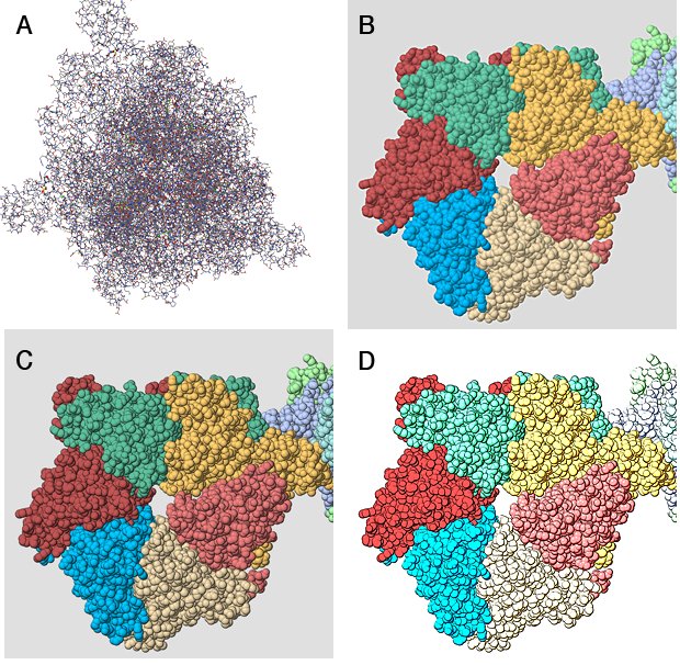 Stages in "Molecule of the Month preparation"